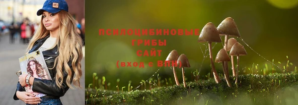 ПСИЛОЦИБИНОВЫЕ ГРИБЫ Сосновка